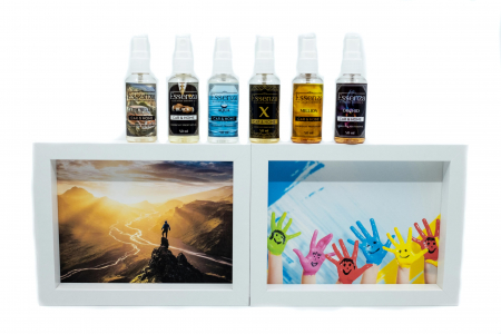 Seturi cadou - set 6 odorizante parfumuri auto si casa essenza cu 2 tablouri copii si munte