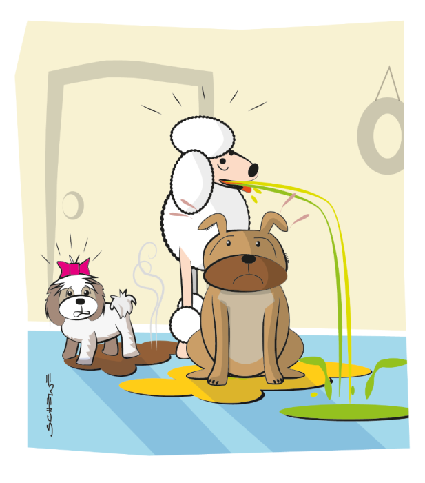 Pudra PIKOSCH PET indepartare lichide [6]