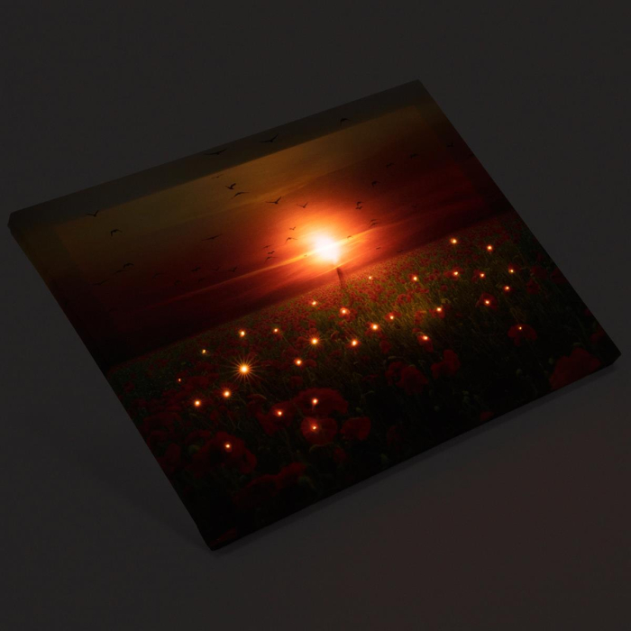 Tablou iluminat 1 led cu timer - 30x40cm - print digital pe canvas - camp de maci [2]
