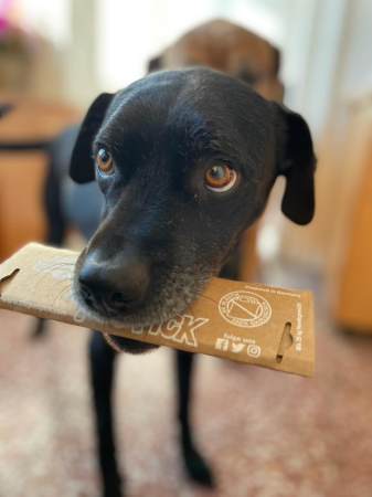 ANIMALE DE CASA - Cutie igienica pentru caini POOPICK BASIC - greutate caine pana in 10 kg - 100% biodegradabil - 0% plastic, 0% petrol