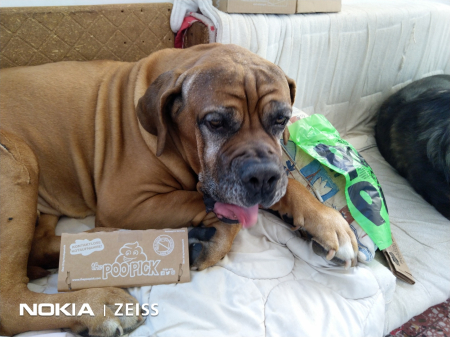 ANIMALE DE CASA - Cutie igienica pentru caini POOPICK PREMIUM - greutate caine pana in 10 kg - 100% biodegradabil - 0% plastic, 0% petrol - 25 bucati inclusiv dispenser