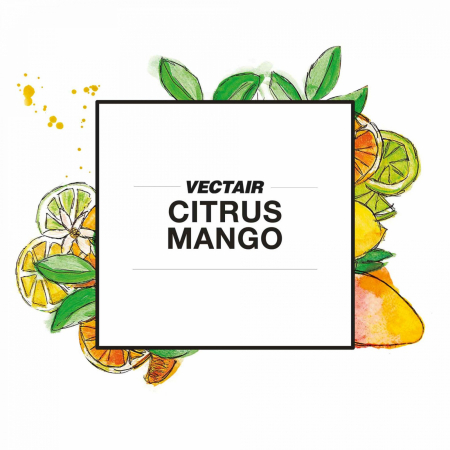 CURATENIE - ODORIZARE - Rezerva odorizant VIBE - CITRUS MANGO
