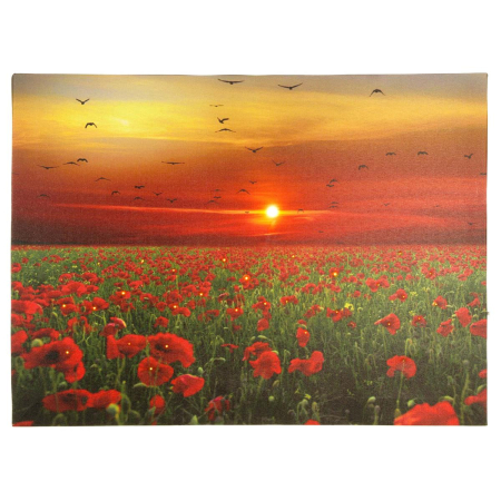 Tablou iluminat 1 led cu timer - 30x40cm - print digital pe canvas - camp de maci [2]