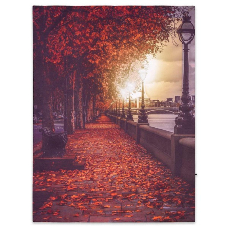 Tablouri decorative - Tablou iluminat 3 leduri cu timer - 30x40cm - print digital pe canvas - Promenada