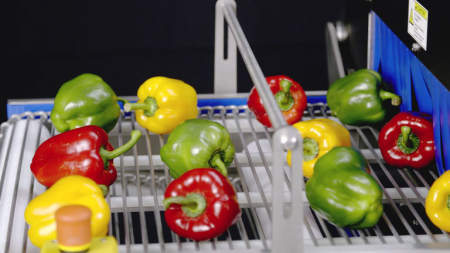 Tunel sterilizare ATOPUR 360 - pentru ambalaje si alimente [7]