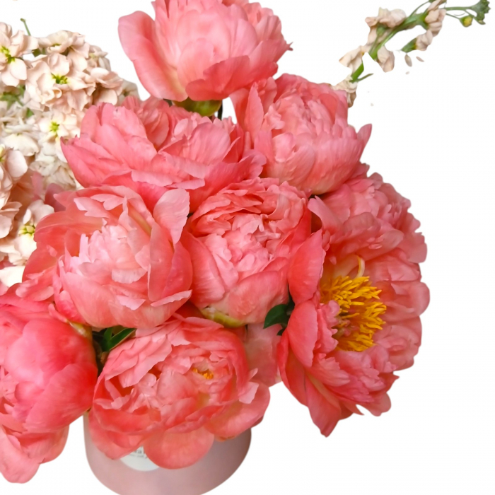 Aranjament floral compus din bujori corai si matthiola roz, cu flori parfumate si bogate, in nuante calde, ideale pentru cadouri sau decor elegant. [3]