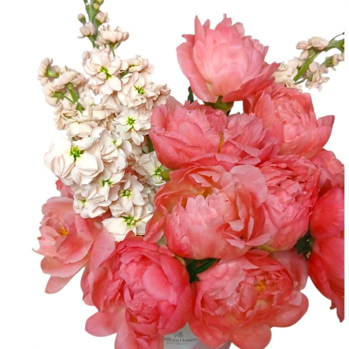 Aranjament floral compus din bujori corai si matthiola roz, cu flori parfumate si bogate, in nuante calde, ideale pentru cadouri sau decor elegant. [2]