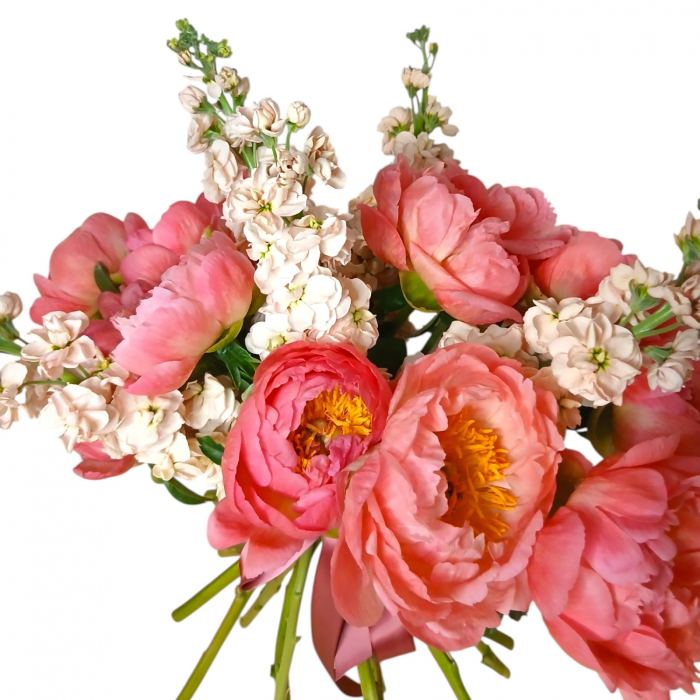 Buchet bujori corai si matthiola roz [3]