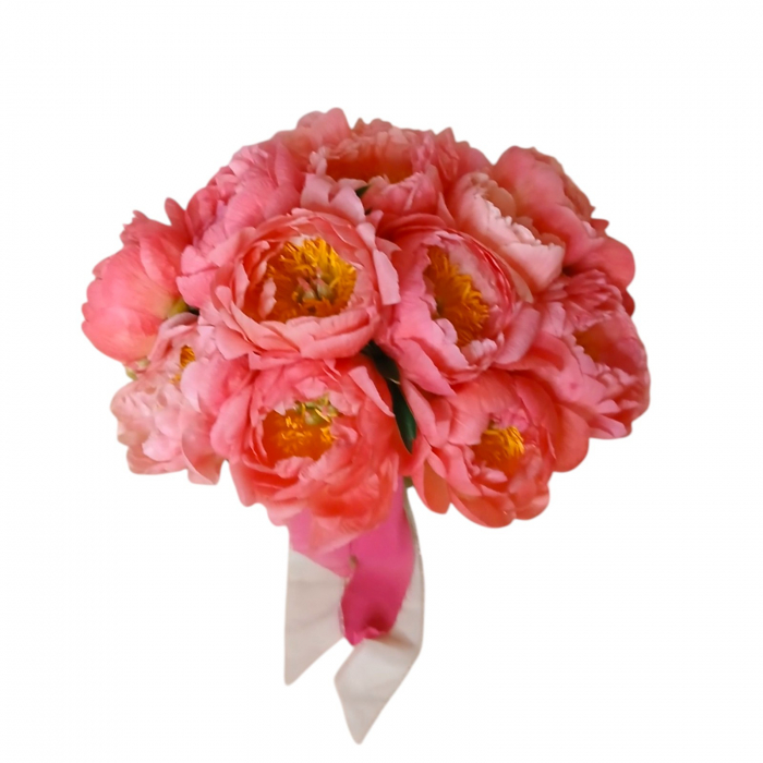 Buchet de mireasă cu bujori corai. [2]