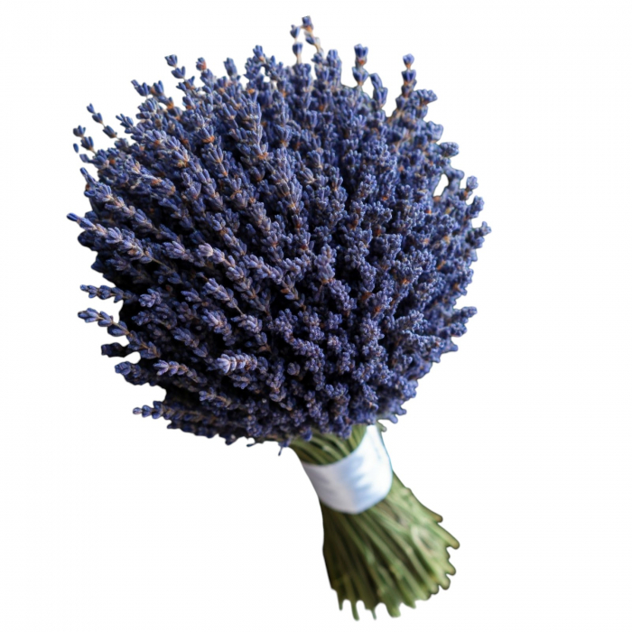 Buchet de mireasă lavandă [1]