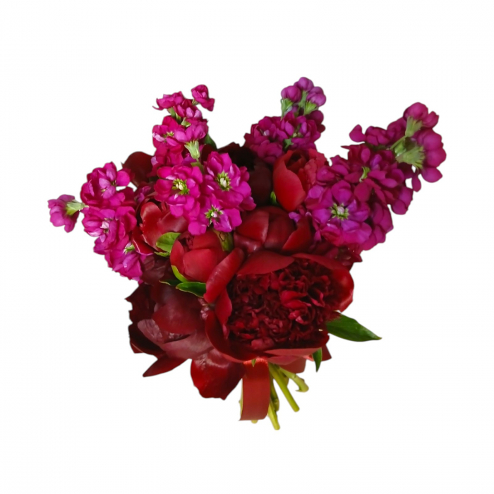 Buchet de nasa cu bujori bordeaux si matthiola. [2]