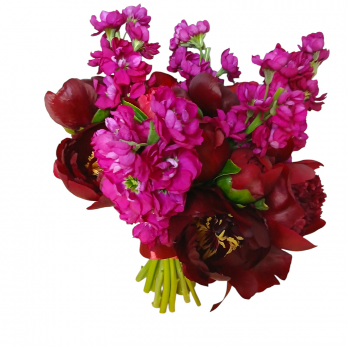 Buchet de nasa cu bujori bordeaux si matthiola. [3]