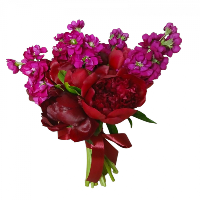 Buchet de nasa cu bujori bordeaux si matthiola. [1]