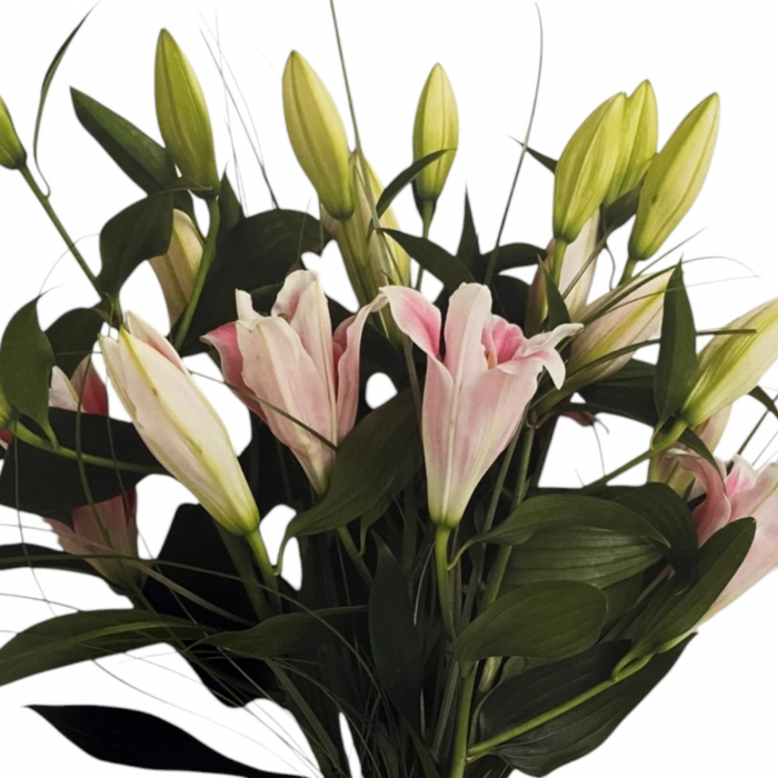 Buchet flori crini regali roz și beargrass [2]