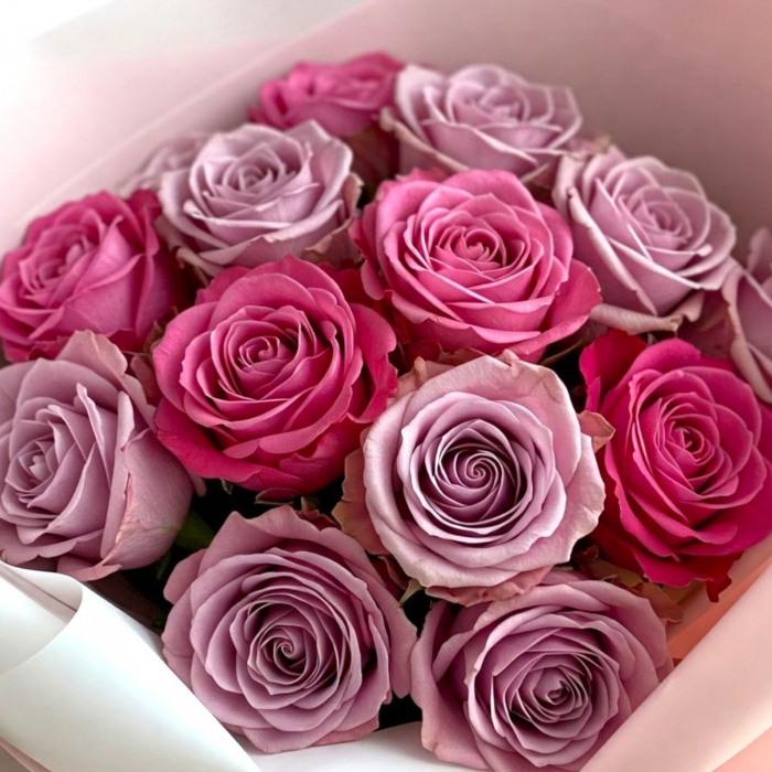 Buchet trandafiri roz si mov. [2]
