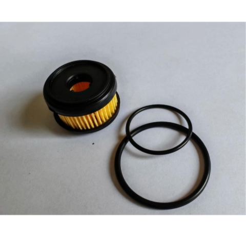 Pachet 4 filtre ( 2 Seturi ) filtre GPL pentru instalatiile Tomasetto cu electrovalva de gpl marca Valtek, separata de Vaporizatorul de gaz ), filtrul faza gazoasa intrari 12x12 mm . cu garnituri incl [2]