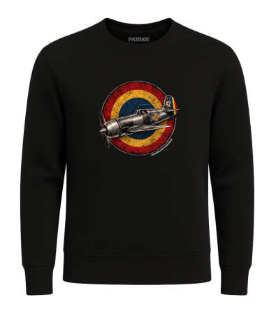 Produse - stema acvila heraldic medieval negru