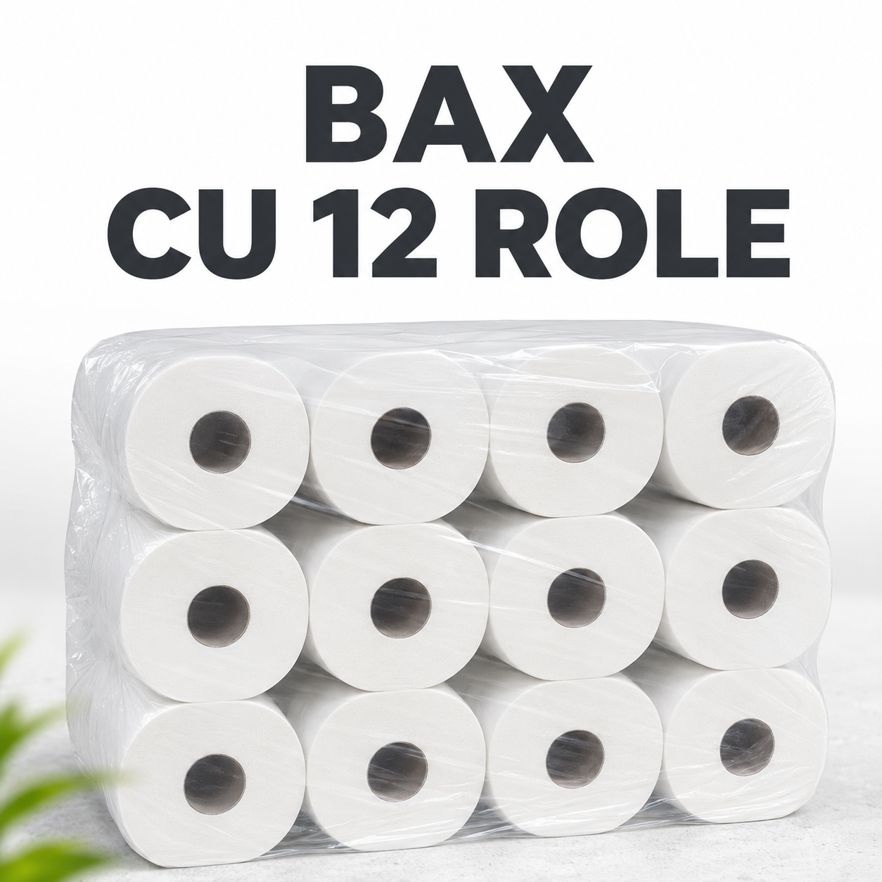 Hârtie igienică AMIANO Mini Jumbo Economy 2 straturi bax 12 role [3]