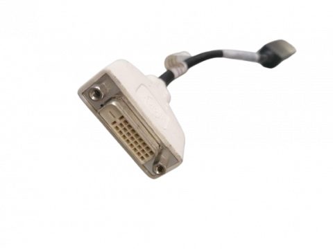 Accesorii Laptop - Adaptor Display Port - DVI 24+1