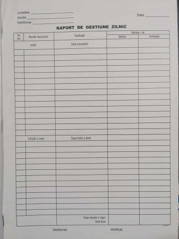 Papetarie - Raport de Gestiune Zilnic – Format A4, 100 File, Necopiativ