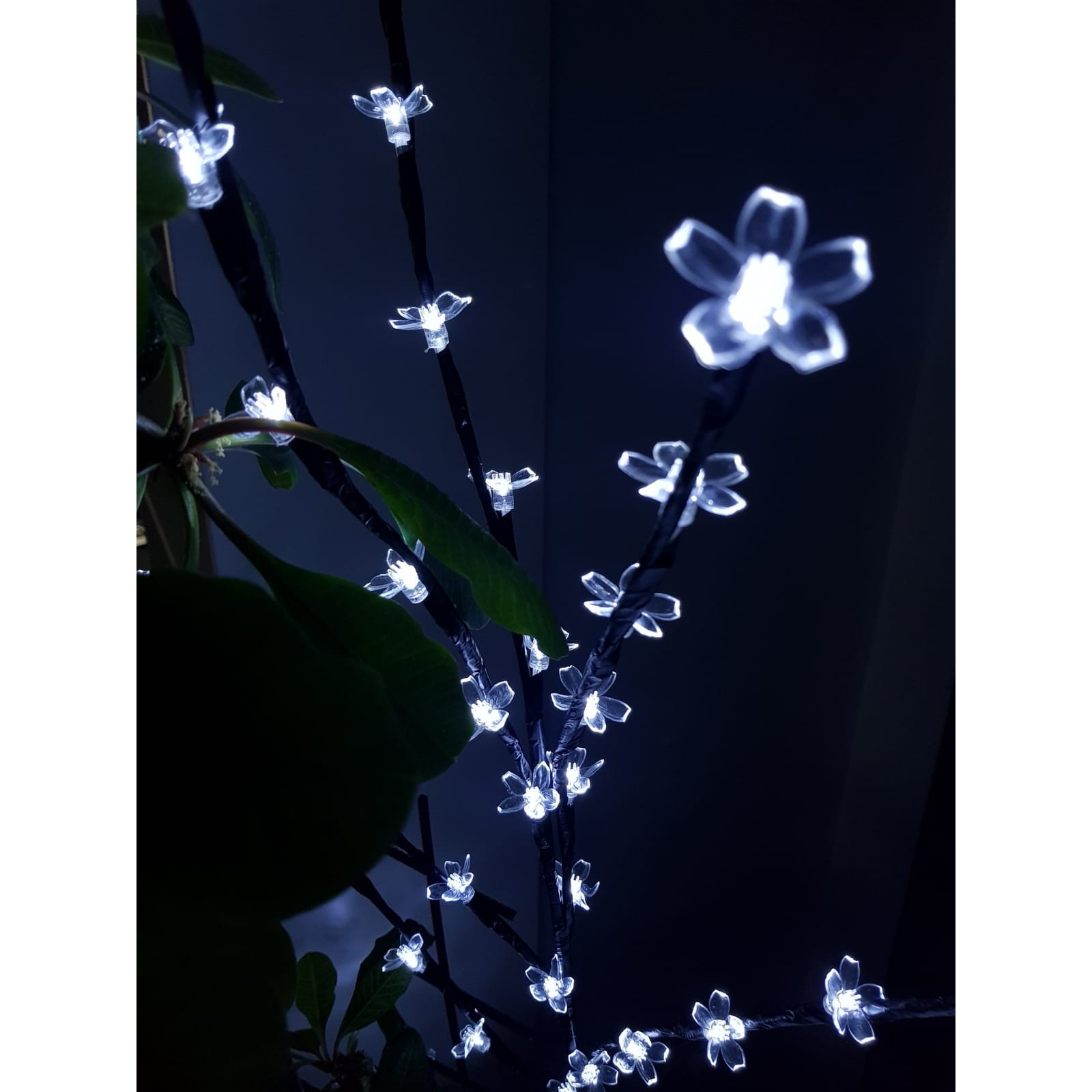 Decoratiune Luminoasa Crenguta cu Baterii 72 LED -uri Flori Alb Rece [2]