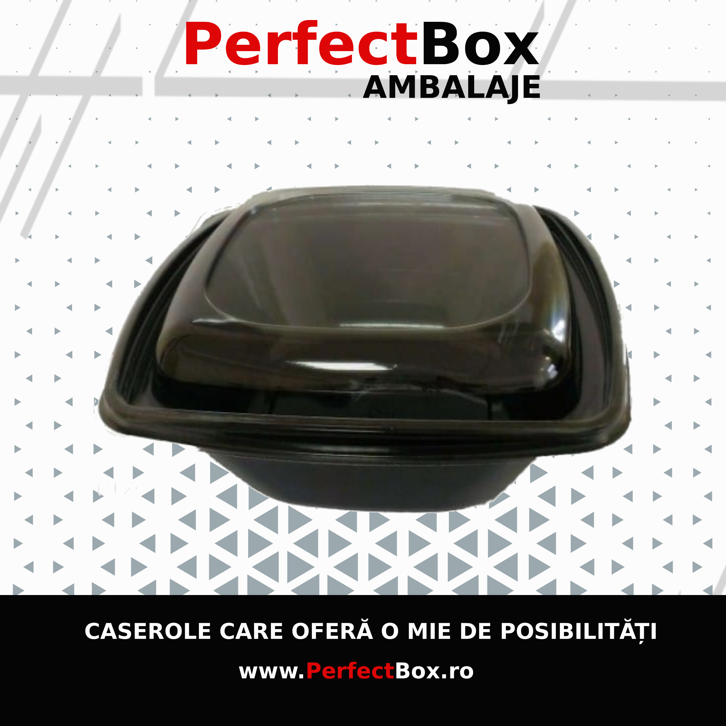 Caserole pentru catering si restaurante - avem!