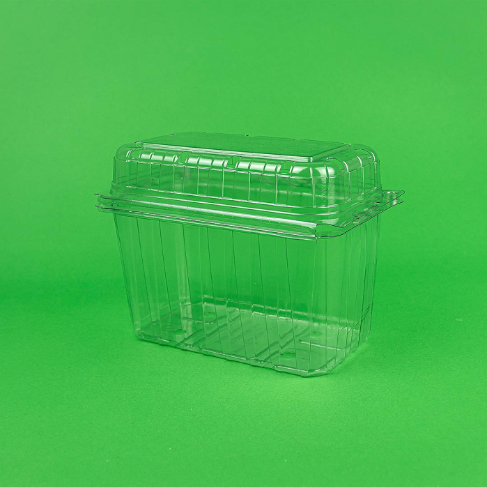 Caserola fructe cu capac 100/set 1000 gr. [2]