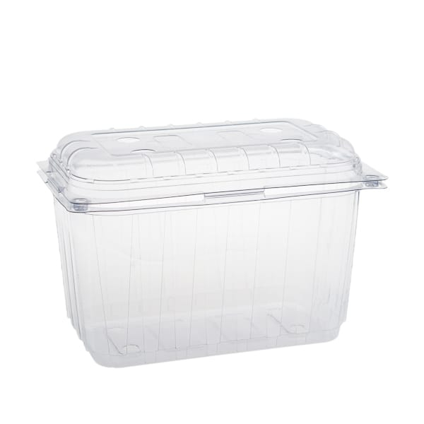 Caserola fructe cu capac 100/set 1000 gr. [1]