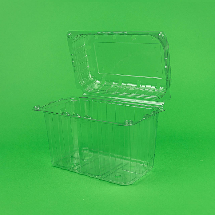 Caserola fructe cu capac 100/set 1000 gr. [3]