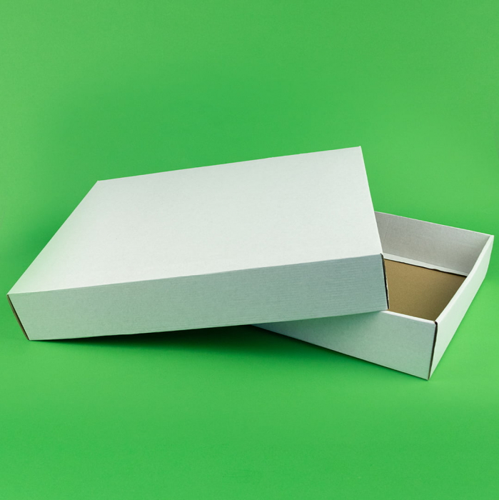 Cutie cu capac detasabil 100 buc/set alb 440X325X65 mm [2]