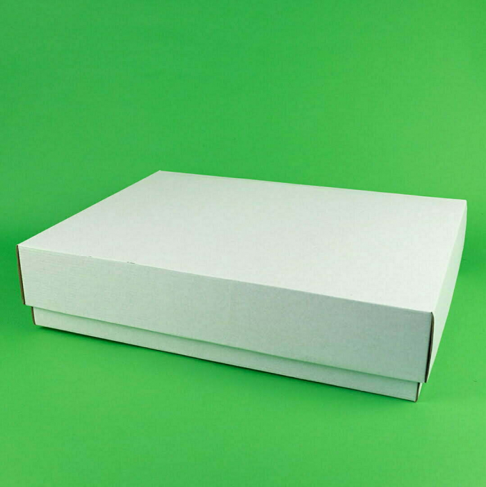 Cutie cu capac detasabil 100 buc/set folie 325X300X65 mm [3]