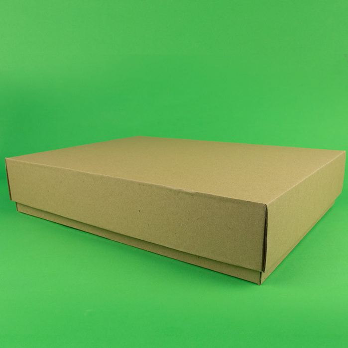 Cutie cu capac detasabil 100 buc/set natur 325X300X65 mm [3]