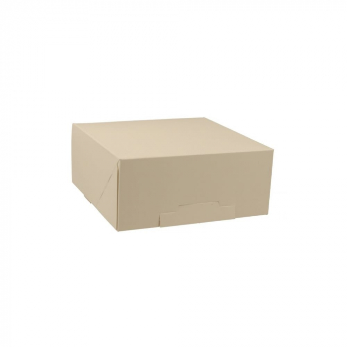 Cutie patiserie white 250x250x80 25/set [1]