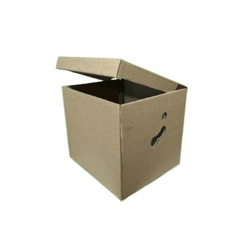 Cutii arhivare CO3/B natur 320X300X320 mm 50 buc/set [1]