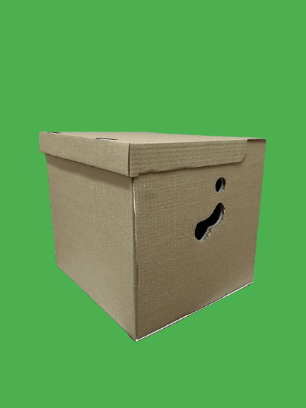 Cutii arhivare CO3/B natur 320X300X320 mm 50 buc/set [3]