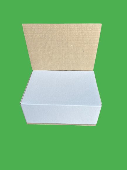 CUTII CLASICE CO3 (BAX) 50 BUC/SET ALB 300X205X180 MM [2]