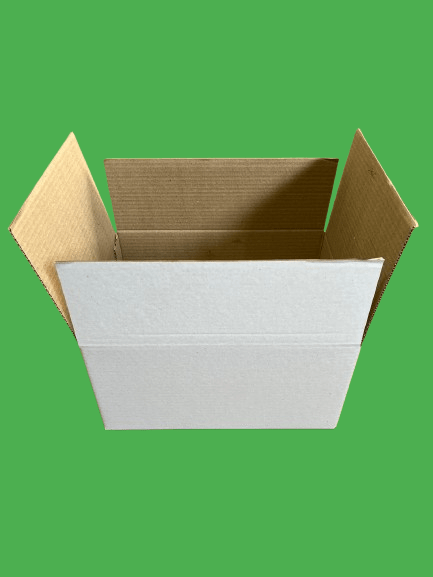 CUTII CLASICE CO3 (BAX) 50 BUC/SET ALB 315x225x160 mm [3]