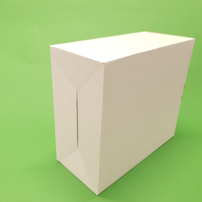 Cutii cu preformare 100 buc/set alb 260x260x290 [3]