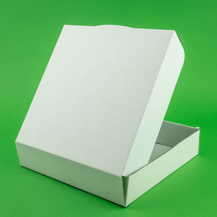 Cutii pentru pasca 100 buc/set folie 280x280x100 [2]