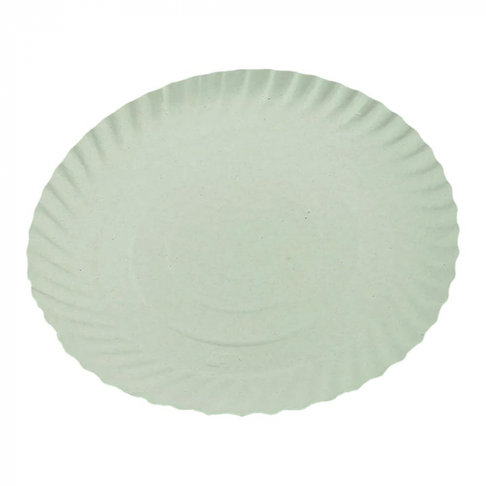 Farfurii carton r4 100/set 33cm [1]