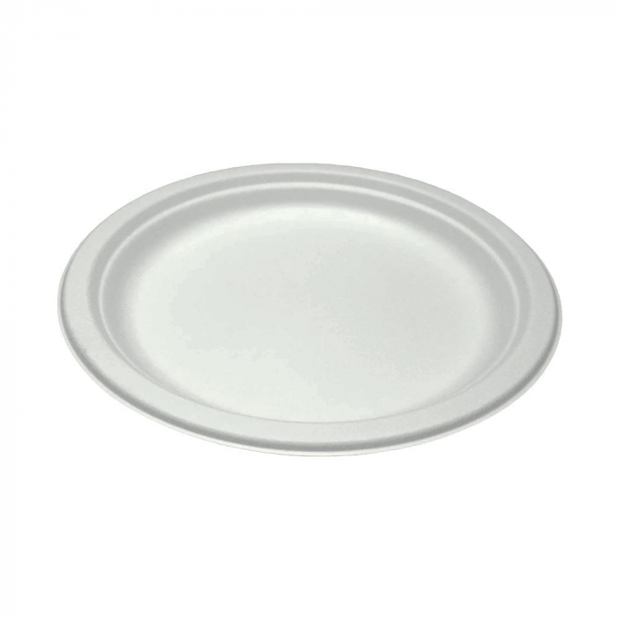 ***raft*** farfurii bio necomp. 22-23cm 10/set [1]