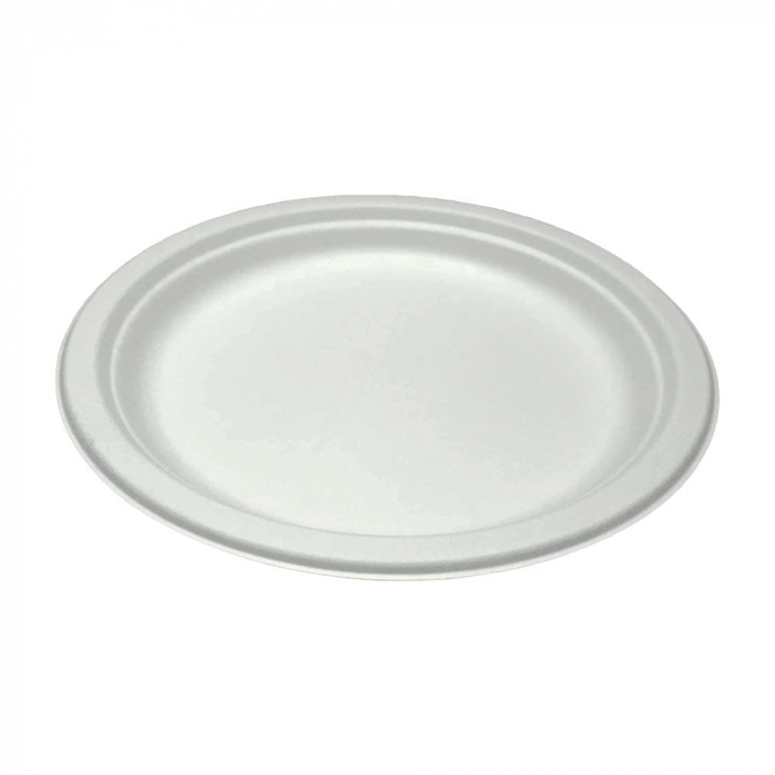 ***raft*** farfurii bio necomp. 26cm 10/set [1]