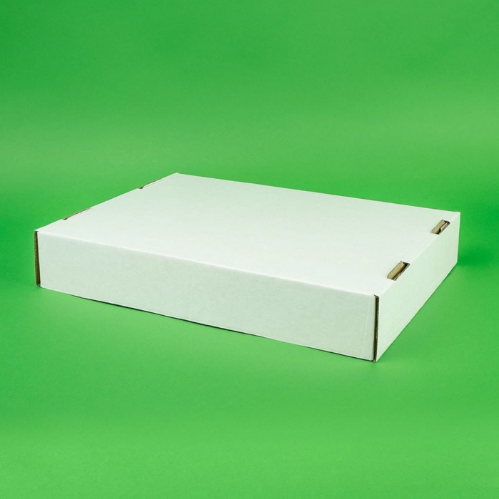 Tavite carton ondulat 100 buc/set alb 300x100x100 mm [2]