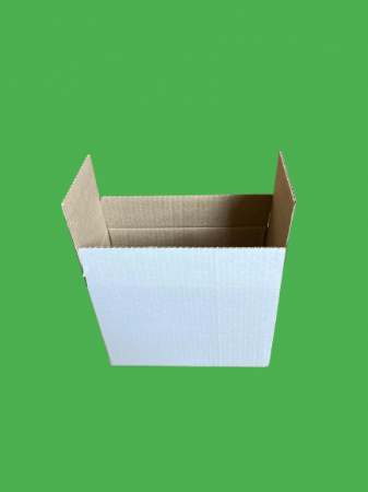 CUTII CLASICE CO3 (BAX) 50 BUC/SET ALB 295X197X237 MM [2]