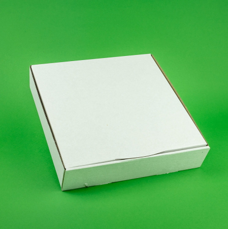 Cutii pentru pasca 100 buc/set folie 230x230x50 [2]
