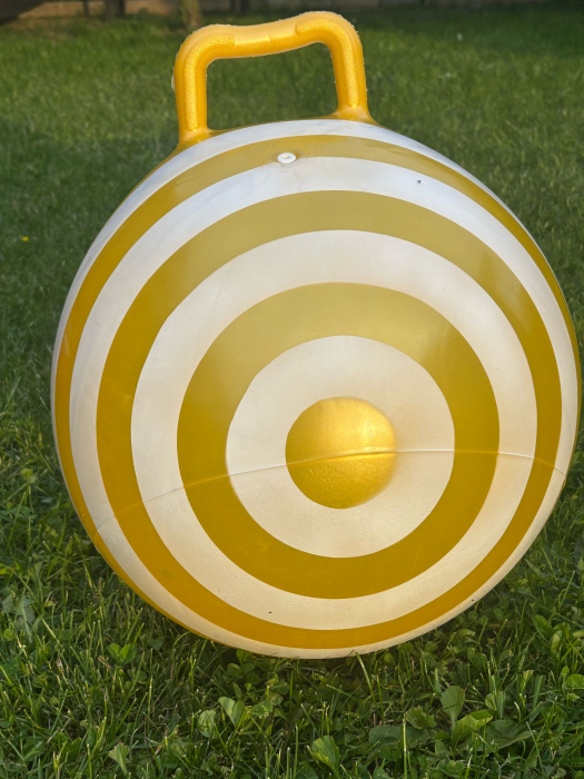 MINGE SALTAREATA 45 X 45 CM CU MANER DIN PLASTIC [1]