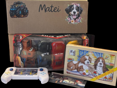 PERSONALIZATE - Mystery Box cu Jucării – Personalizată cu Nume si un mesaj baieti