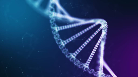 Tapet Premium Canvas - Coloane si magnolii [2]