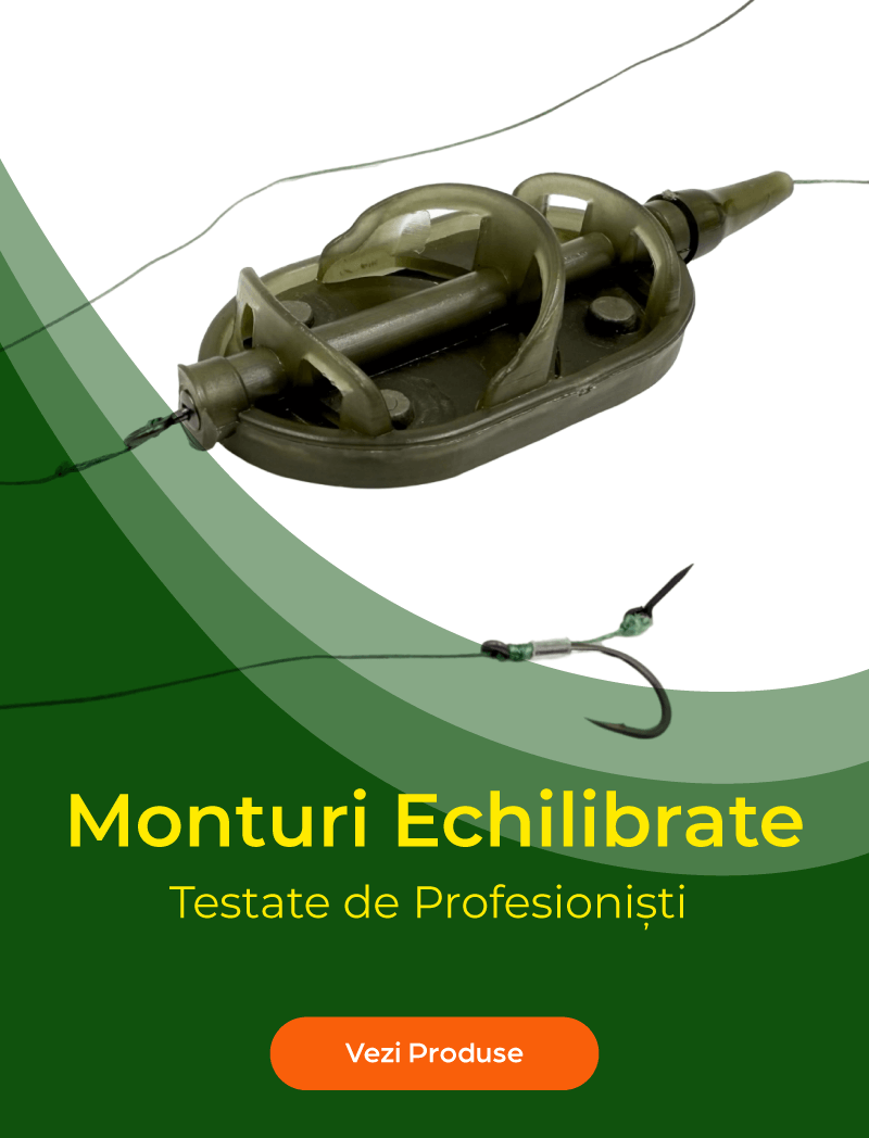 Monturi si accesorii