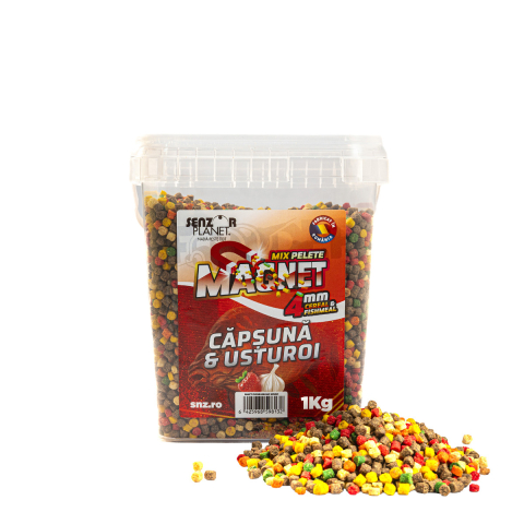 Pelete - MAGNET PELETE CAPSUNA & USTUROI (MIX CULORI) 4mm 1kg